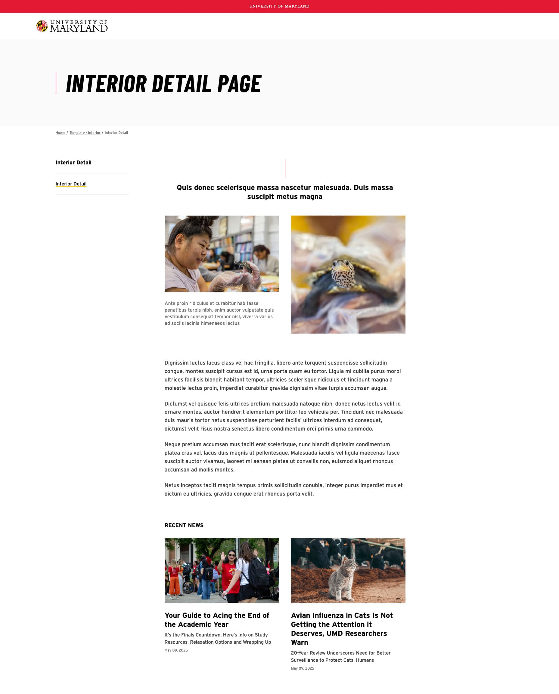Interior detail template