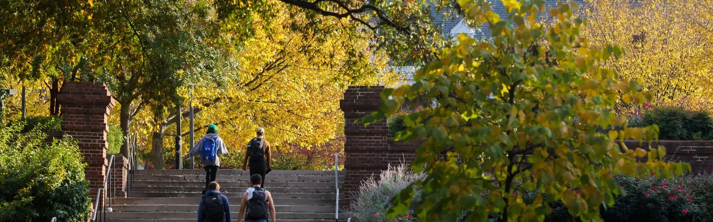 Autumn campus shot