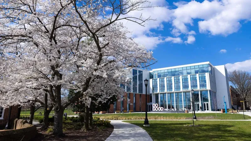 Thurgood Marshall Hall with blooming cherry blossom tree