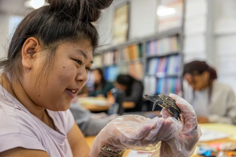 Woman looking at tiny turtle